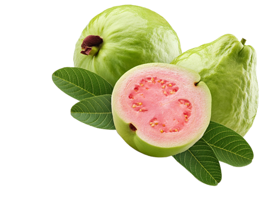 Guava element