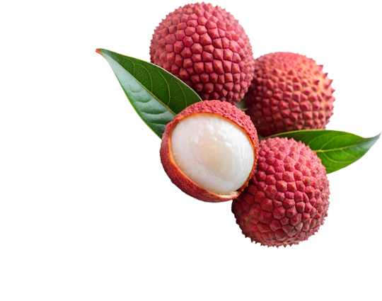 product element zero